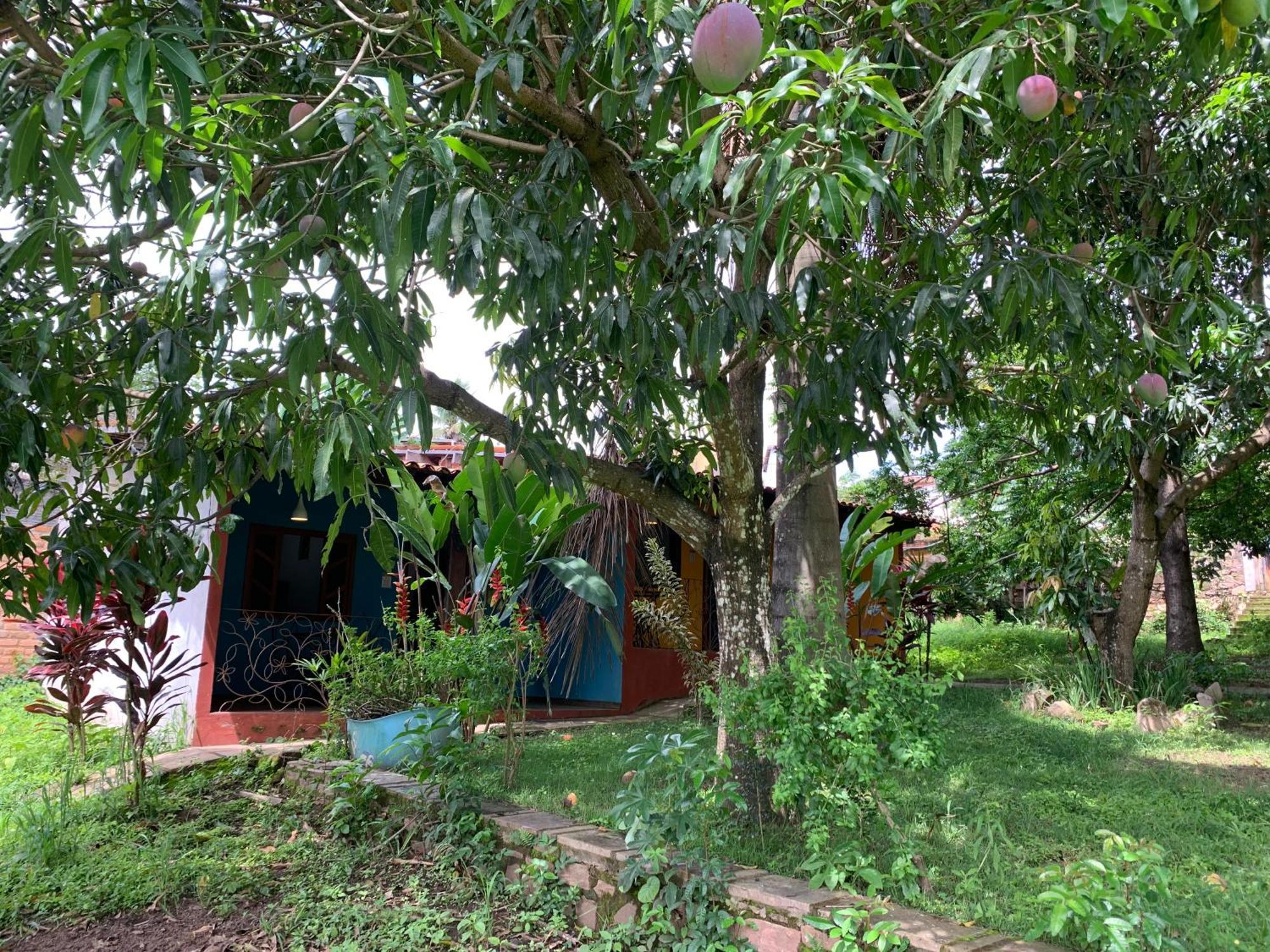 Pousada E Camping Lumiar Lencois Exteriör bild